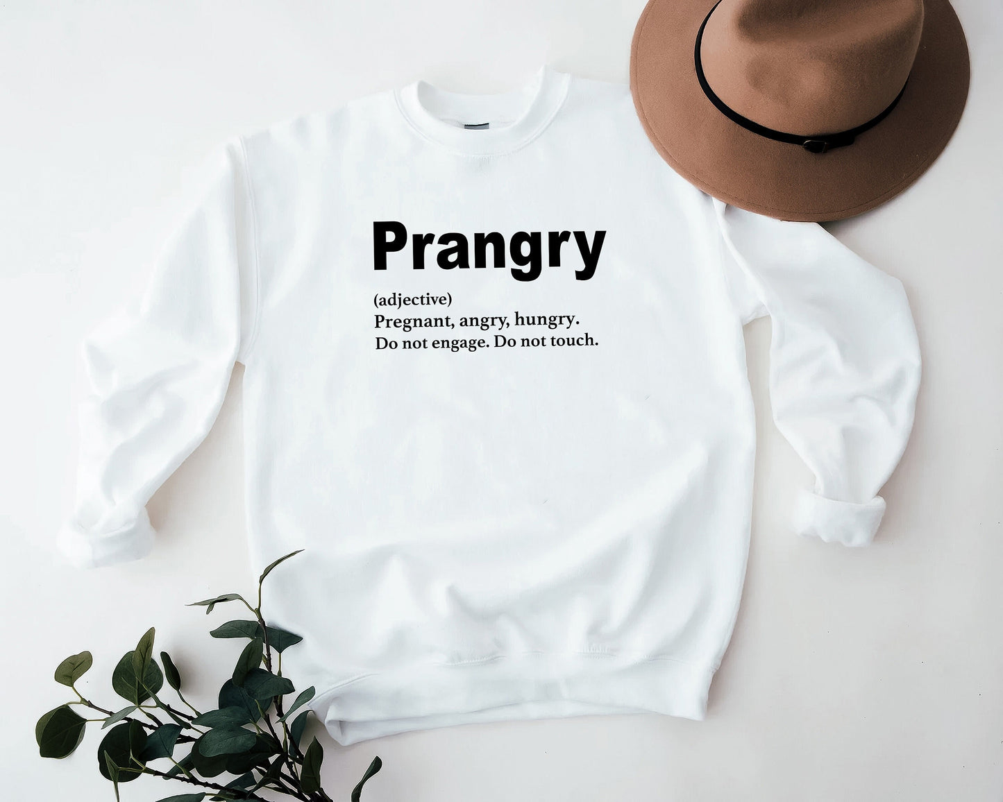 Prangry Definition Sweatshirt